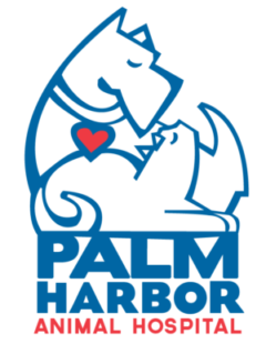 Palm Harbor Animal Hospital